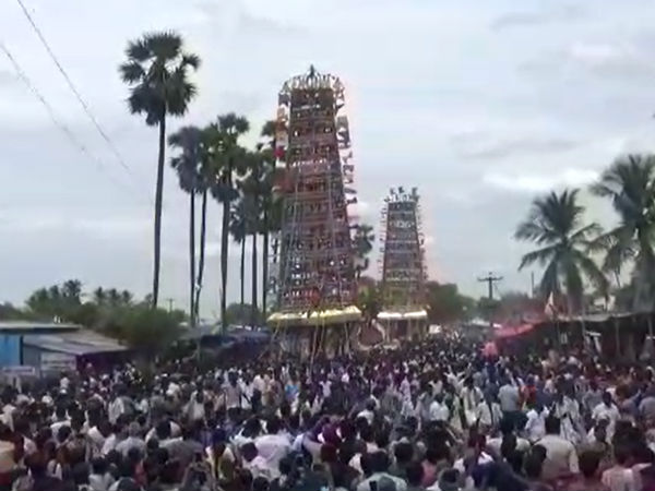 பல வகை மாடுகள் 