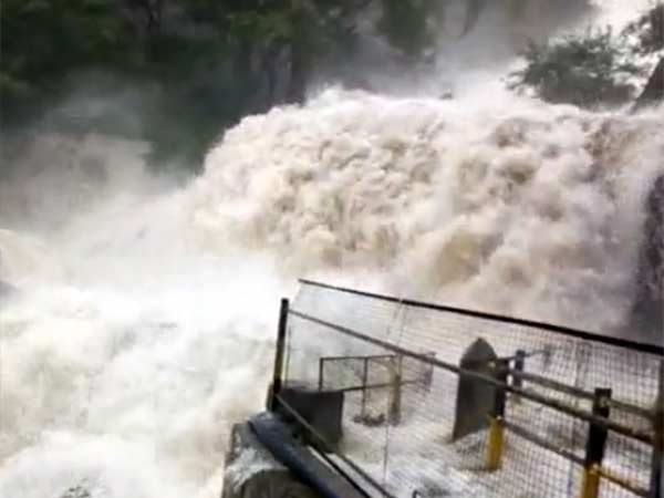 ஒகேனக்கல்லில்... 