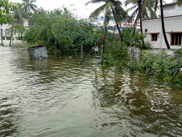 வெள்ளத்தால் தத்தளிக்கும் 