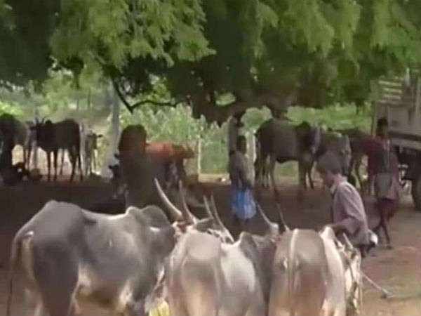 அங்கேயே புதைத்தனர் அங்கேயே புதைத்தனர்