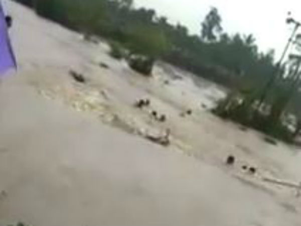  மின்கம்பங்கள் சாய்ந்தன 