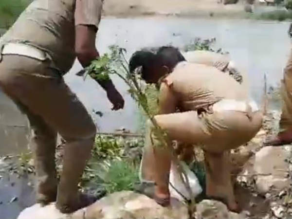 பத்திரமாக மீட்பு 