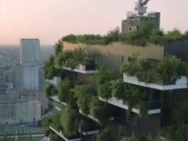 செடிகள் வளர்க்கப்படுதல் செடிகள் வளர்க்கப்படுதல்