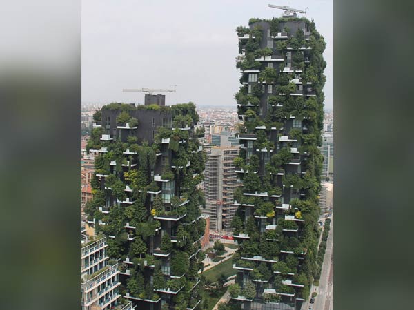 காடு காடு