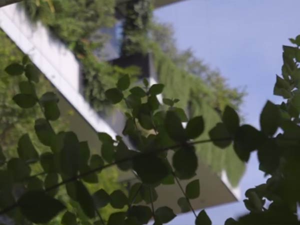 44000 பவுன்ட் கார்பன் டை ஆக்ஸைடு 44000 பவுன்ட் கார்பன் டை ஆக்ஸைடு