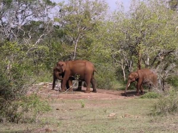 முள்வேலிகள், மின்கம்பிகள் முள்வேலிகள், மின்கம்பிகள்