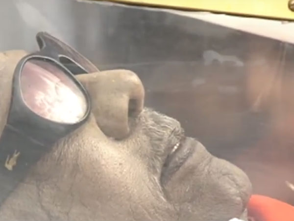  Karunanidhis final ritual will start at 4.30 PM 