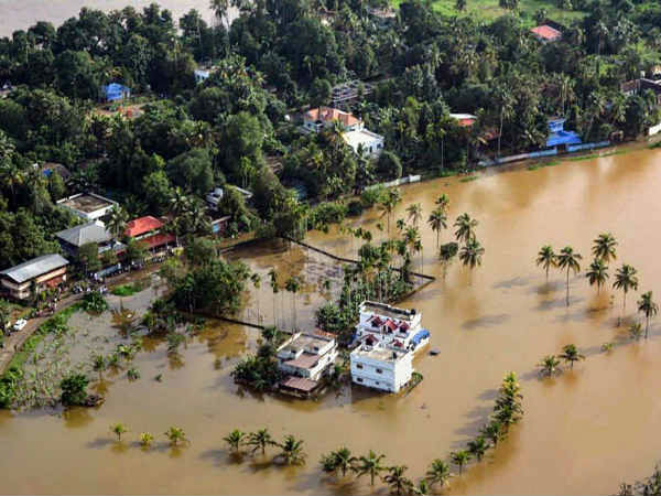 அரசுதான் காரணம் 
