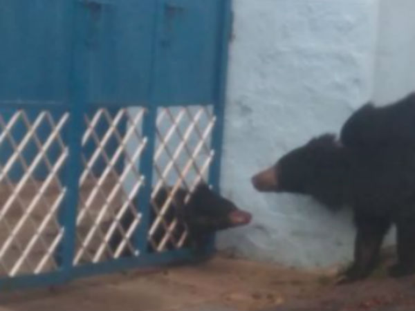 மனசே இல்லை 