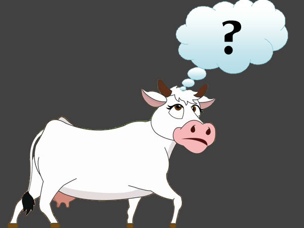 எங்கெல்லாம் தேடுறது 