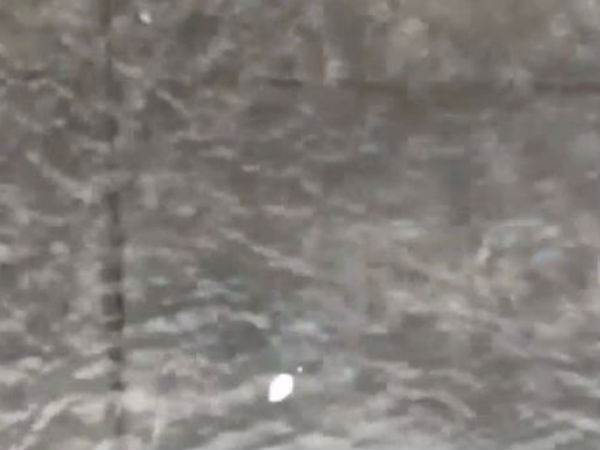 மக்கள் அச்சம் 