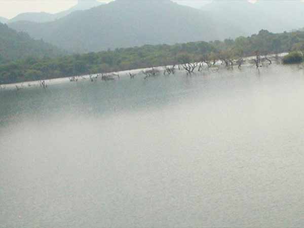 இடித்த கேரளா அரசு 