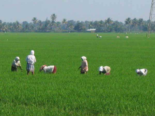 கடிதம் அளித்தனர்
