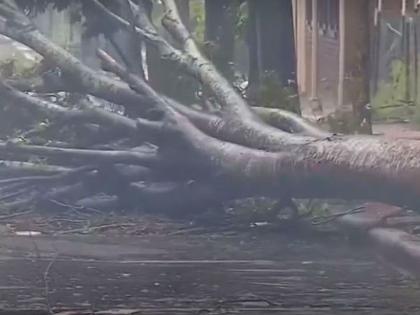 இருளில் மூழ்கியது வடக்கு கரோலினா 