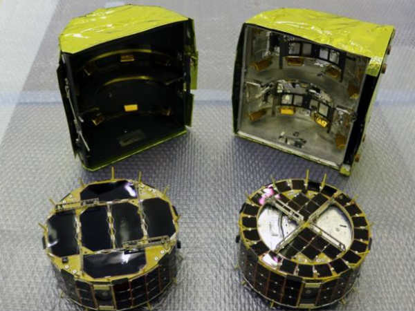 அருகில் சுற்றிக் கொண்டு இருந்தது 