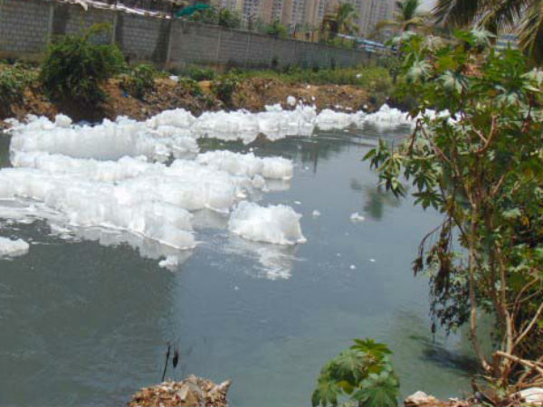 Bellendur lake foam again in Bengaluru