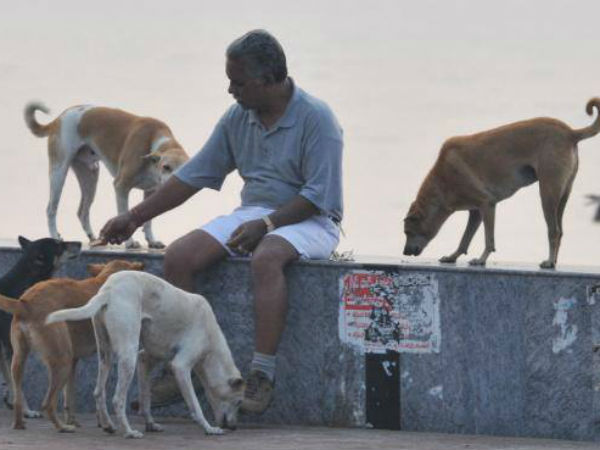 kaal bhairavasshtami to appease the lord of time kaal bhairavasshtami to appease the lord of time