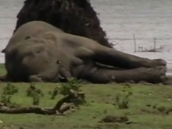 உடம்பெல்லாம் காயம் 