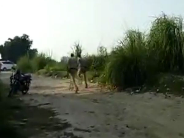 போன் செய்து சொன்னார்கள் 