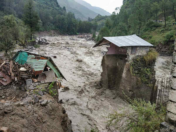 சிக்கி தவிப்பு 