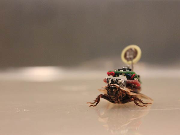 எப்படி இயங்குகிறது 