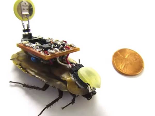 என்ன இருக்கும் அதில் 