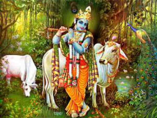 janmashtami the celebration of lord krishna birth