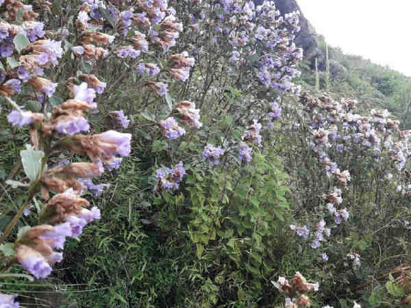 ஆட்டம் பாட்டம் 