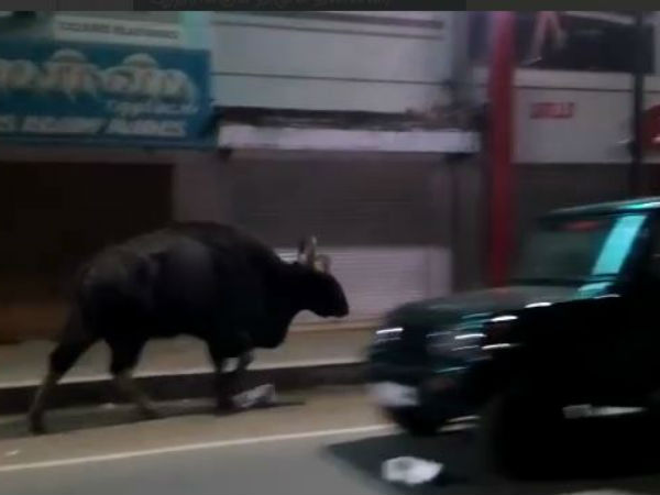 மீண்டும் படுத்துவிட்டது 