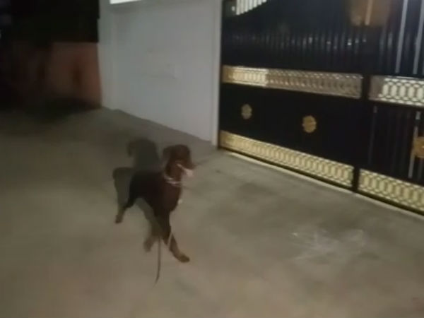 மதுரை, கோவையில் பதுங்கல் மதுரை, கோவையில் பதுங்கல்