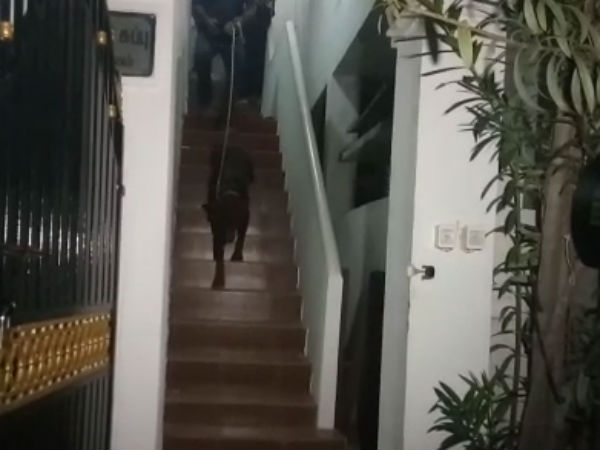 செயல்பாடு செயல்பாடு