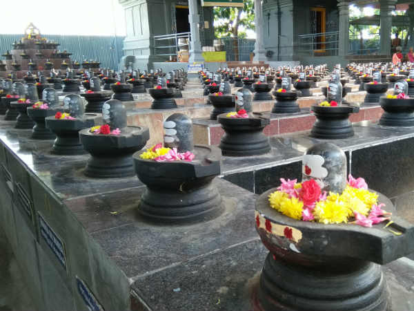 Puratasi Pournami yagams at sri danvantri peedam 