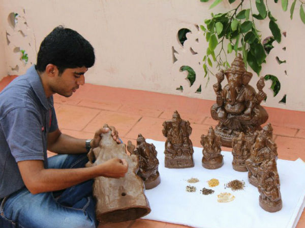 காய்கறி விதைகள்: