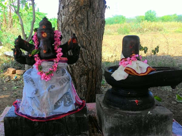  Pooja in Yemadharmar temple