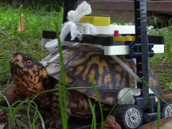 வீல் சேர் ஐடியா 