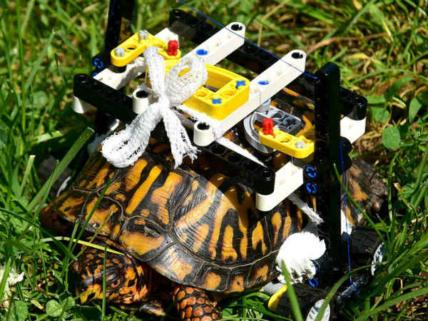 டிசைன் செய்த மாணவன் 