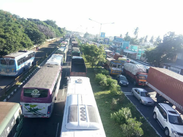 பல பேர் வந்தனர் 