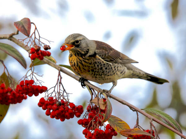 என்ன நடந்தது என்ன நடந்தது