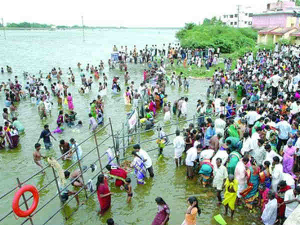 முன்னோர்கள் வடிவில் காகங்கள்