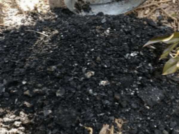 என்ன செய்தார் என்ன செய்தார்