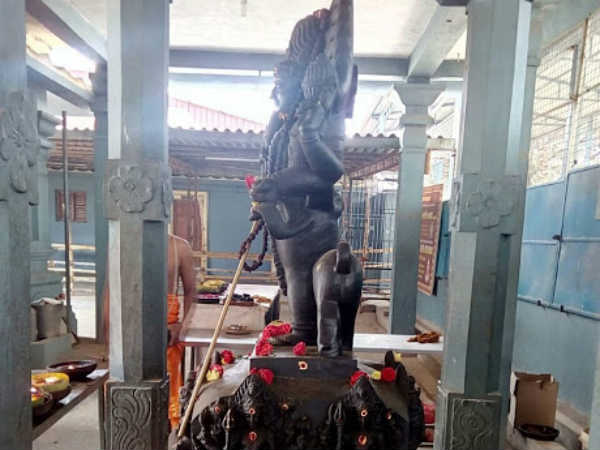 Theipirai astamai sri danvantri arokya peedam asta bairava yagam