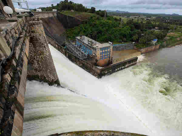 காவிரியில் செல்பி 