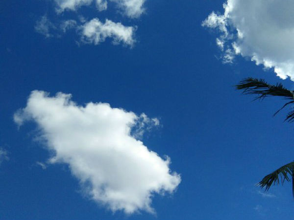 கிராமப்புறங்களில் கதை 