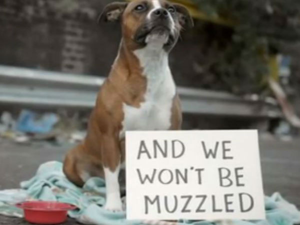 பாஸ்போர்ட் இல்லை பாஸ்போர்ட் இல்லை