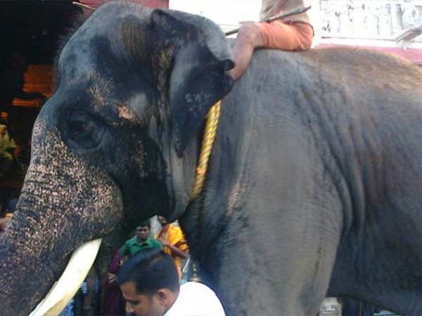 பதவி யோகம் தரும் தானம்