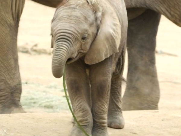  உணவு பெட்டி 