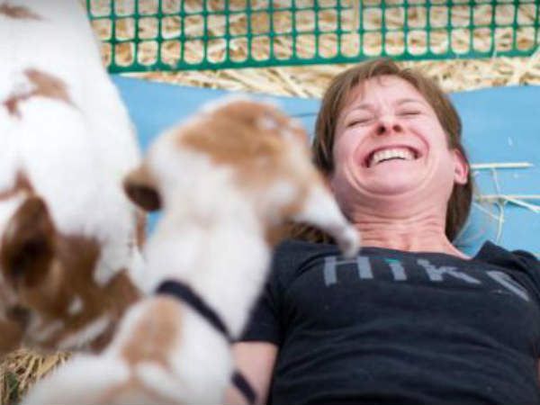  முதுகில் ஆட்டுக்குட்டிகள்