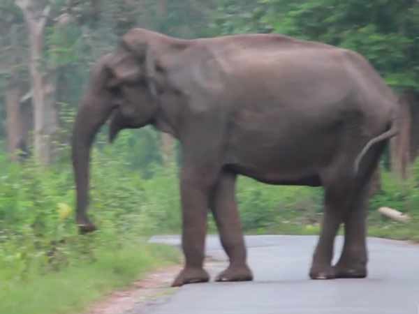 தனியார் பஸ் 