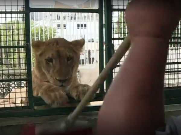  வேண்டுகோள் விடுத்தனர் 