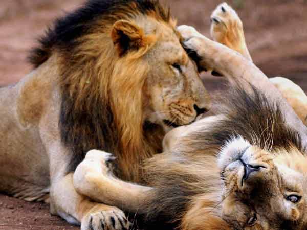 காரணம் என்னவாக இருக்கலாம் 